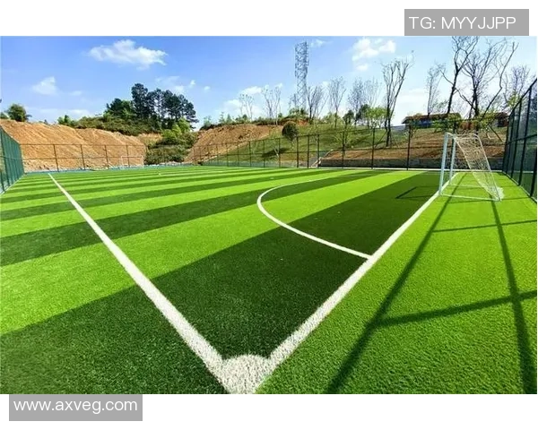 锦江足球崛起之路探秘：从地方球队到全国瞩目的足球力量